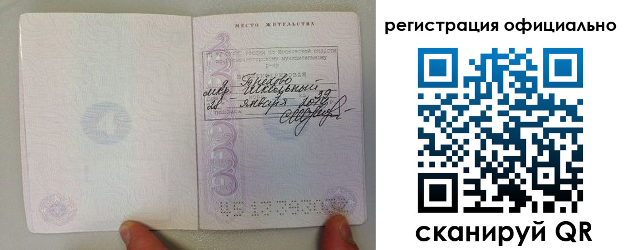 прописка штамп в Пионерском